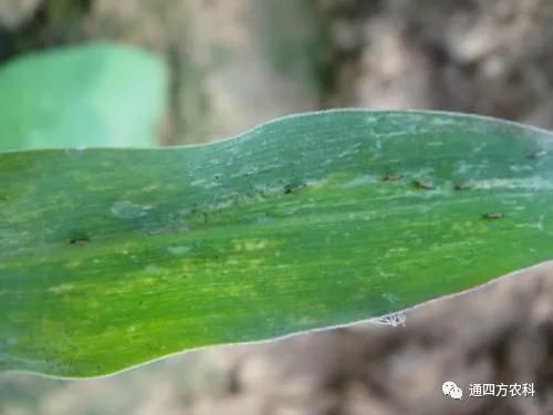 ���הQ����ô�k����ץ�o��Q��Ӱ푮a��!!!