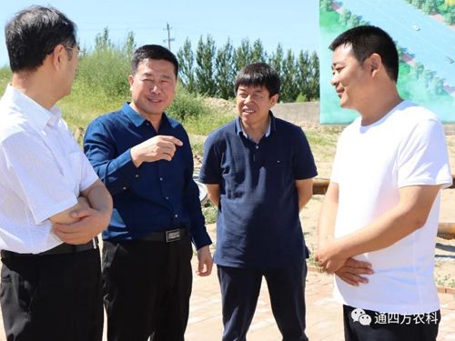 ���ɹ����΅^(q��)�˴�ί���x��ί���ΌO���|һ�� ������ɹ�ͨ�ķ��r�I(y��)�Ƽ����޹�˾