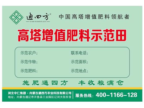 ��������ʾ������Ƭ