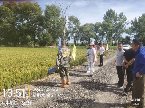 ͨ�ķ��r(n��ng)�Ƹ����;��׏�(f��)�Ϸ���ˮ���ϵ�Ч�����F(xi��n)