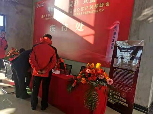 ����_������|����ʡ����